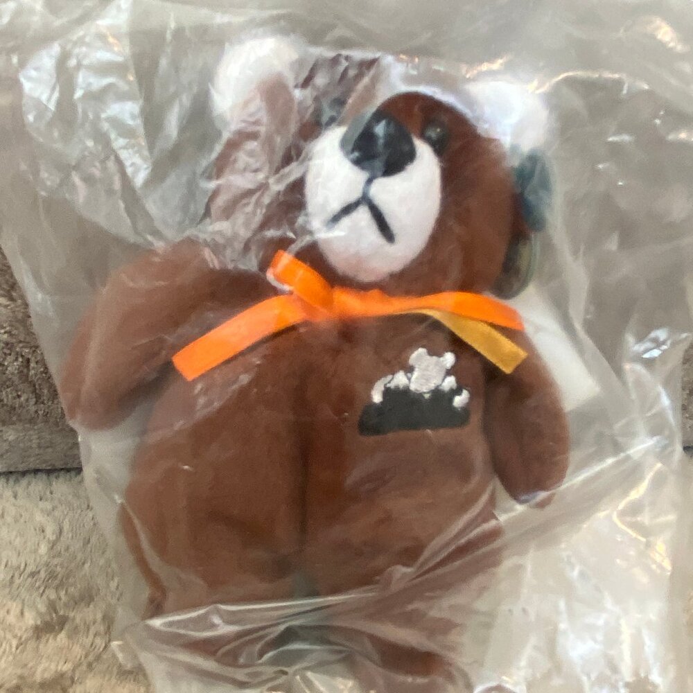 Planet Plush Rocky Colorodo Beanie Bear Vintage Limited Edition